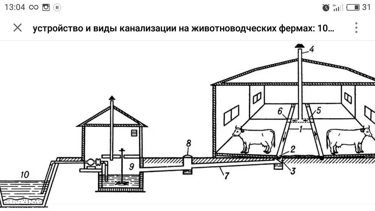 Обустройство свинарника в домашних условиях (фото и видео)