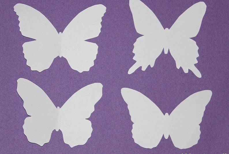 Шаблоны бабочек из бумаги для украшения интерьера