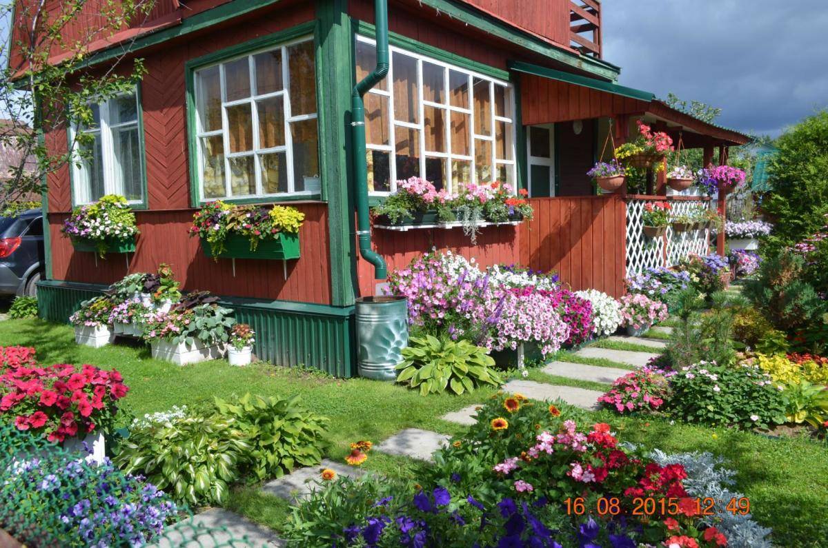 Цветники в огороде частного дома фото