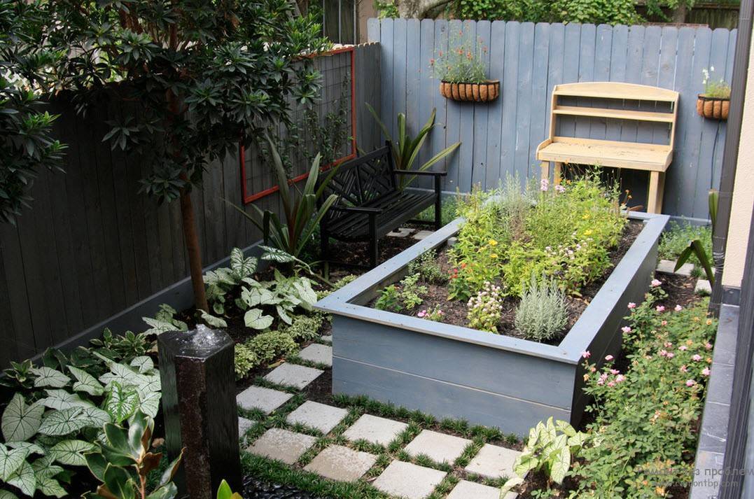 Большие возможности дизайна маленького садового участка