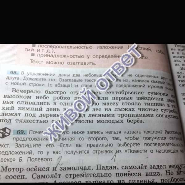 Суп из под кнута главная мысль