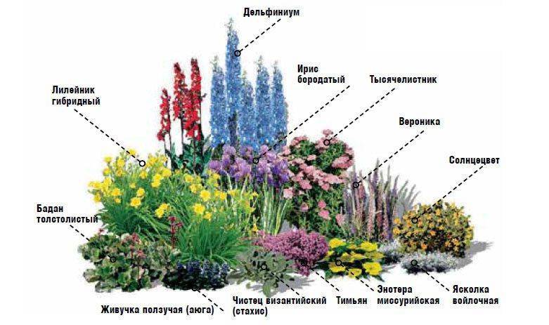 Красивые клумбы из многолетников - правильный выбор цветов и растений для цветения круглый год