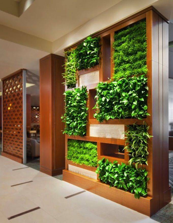 Вертикальный сад в квартире: потрясающие идеи зеленого уголка своими руками