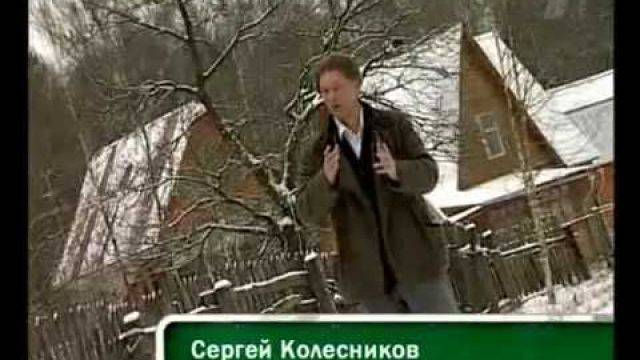 Ольга платонова дачные феи биография. ботокс нынче уродился. дом ольги платоновой