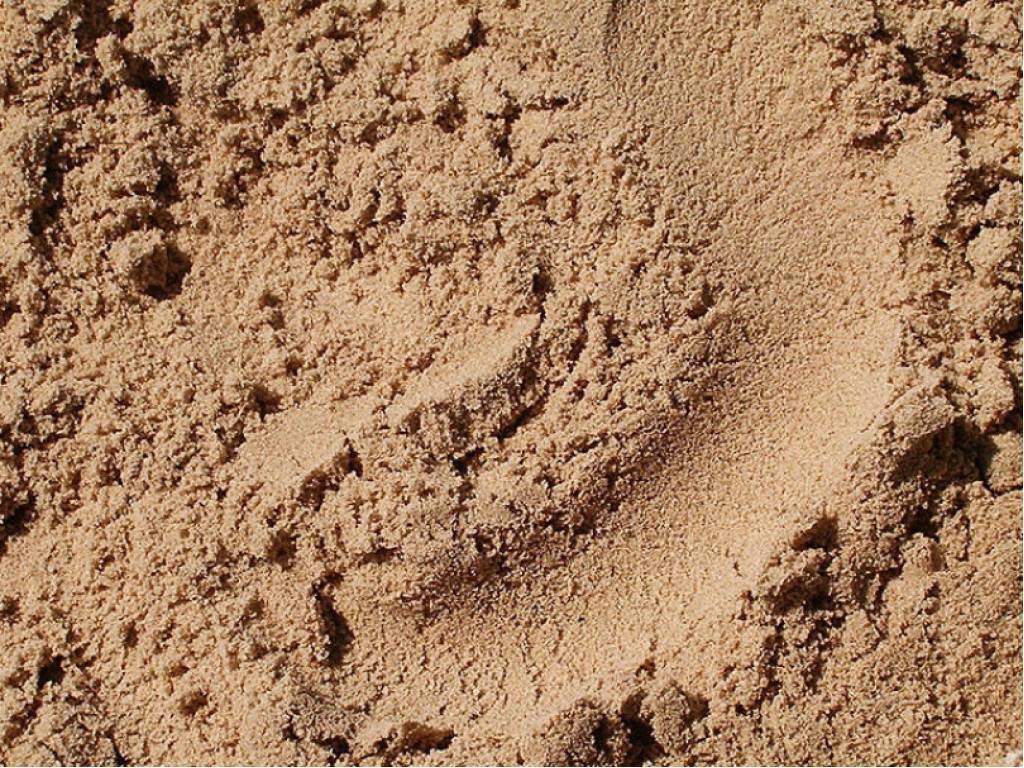Какой песок лучше для фундамента: речной или карьерный
