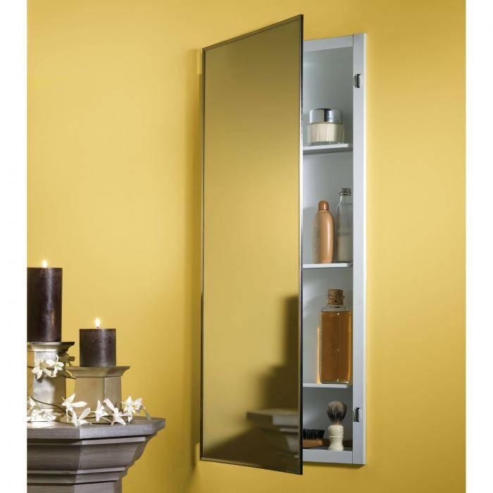 Шкаф с зеркалом: секреты выбора и правильного применения. 185 фото лучших моделей