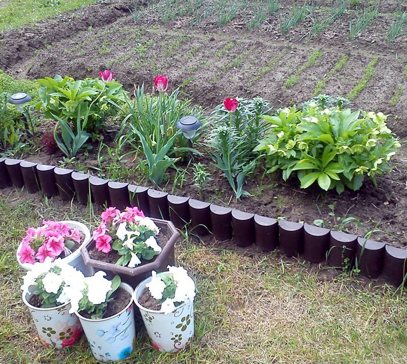 Бордюрная лента для сада: фото с идеями оформления дорожек, грядок, клумб и цветников