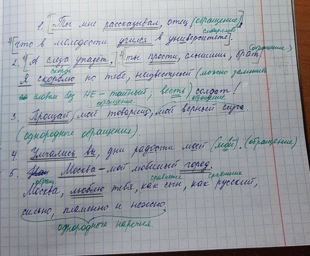 Сначала план по спасению жучки не удалось огэ реализовать поэтому пришлось совершать вторую попытку