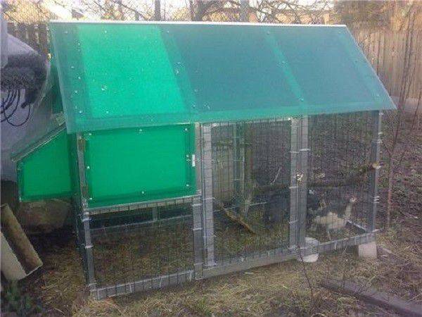 Как самостоятельно сделать курятник в теплице из поликарбоната?