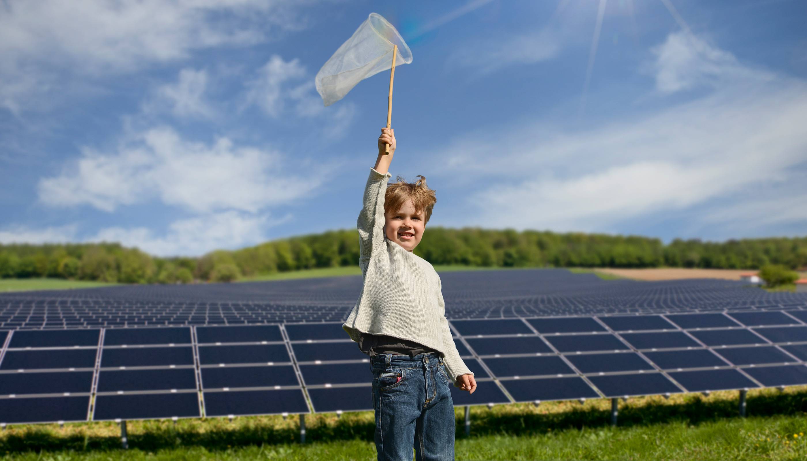 Солнечные батареи для бизнеса: почему это выгодно | companion ua