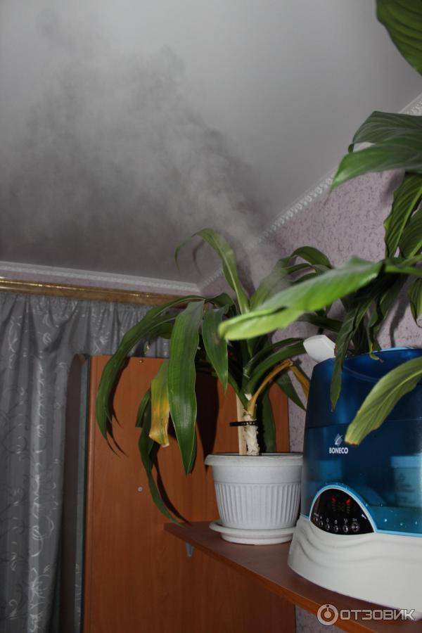 Как увлажнить воздух в комнате без увлажнителя: необходимость, какие нормы