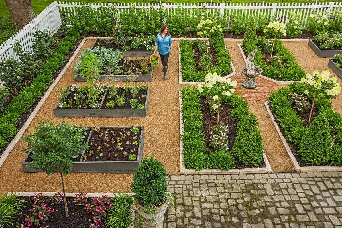 Как распланировать огород и сад на участке (+фото)