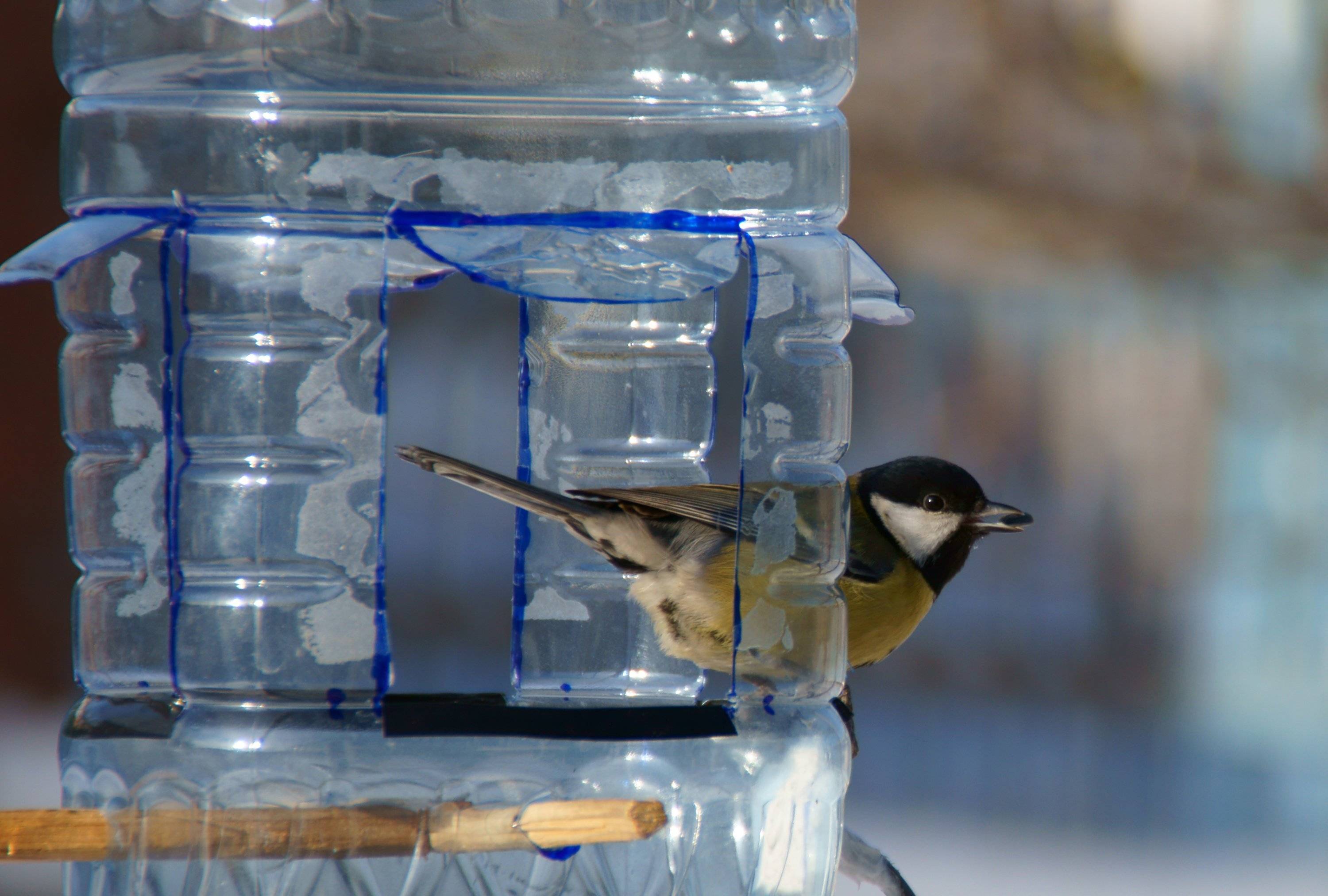 Кормушка для птиц из пластиковой бутылки: сделать кормушку из 5-литровой бутылки своими руками