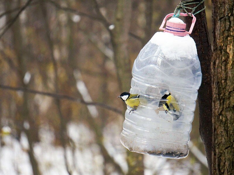 Кормушка для птиц своими руками из пластиковой бутылки (5 литров)
кормушка для птиц своими руками из пластиковой бутылки (5 литров)