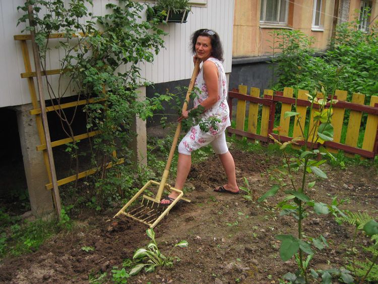 Лучшие грабли для дачных участков и садов в 2022 году.