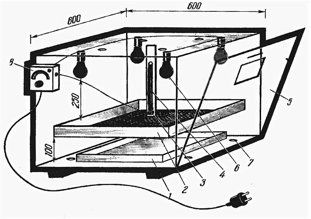Инкубатор своими руками в домашних условиях: нюансы самостоятельного изготовления