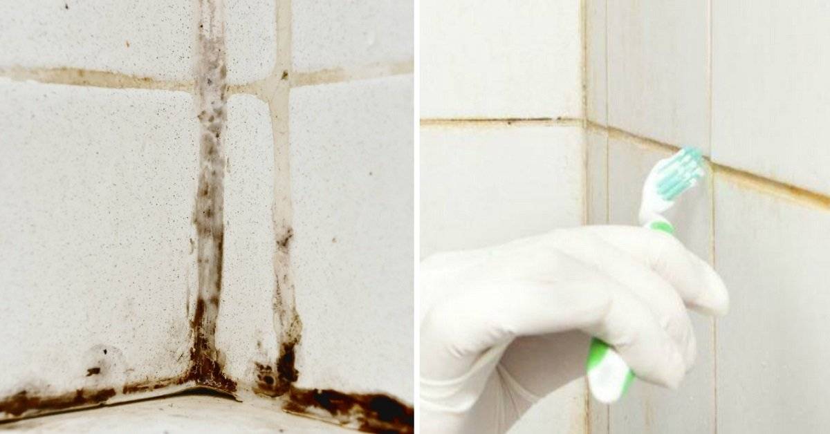 Как снять и удалить черную плесень в ванной - строительные материалы