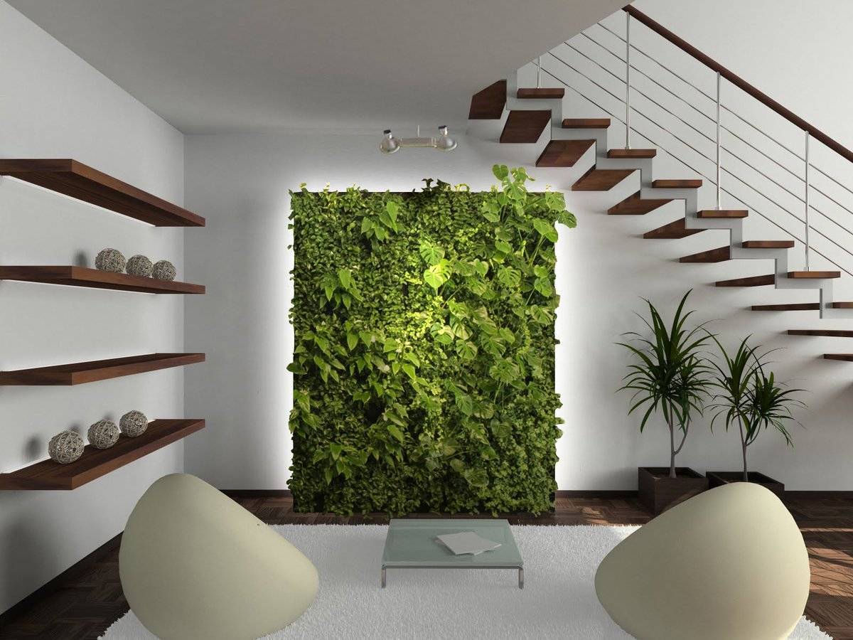 Озеленение дома: живые стены и композиции из мхов. стены из мха как сделать стену из мха своими руками