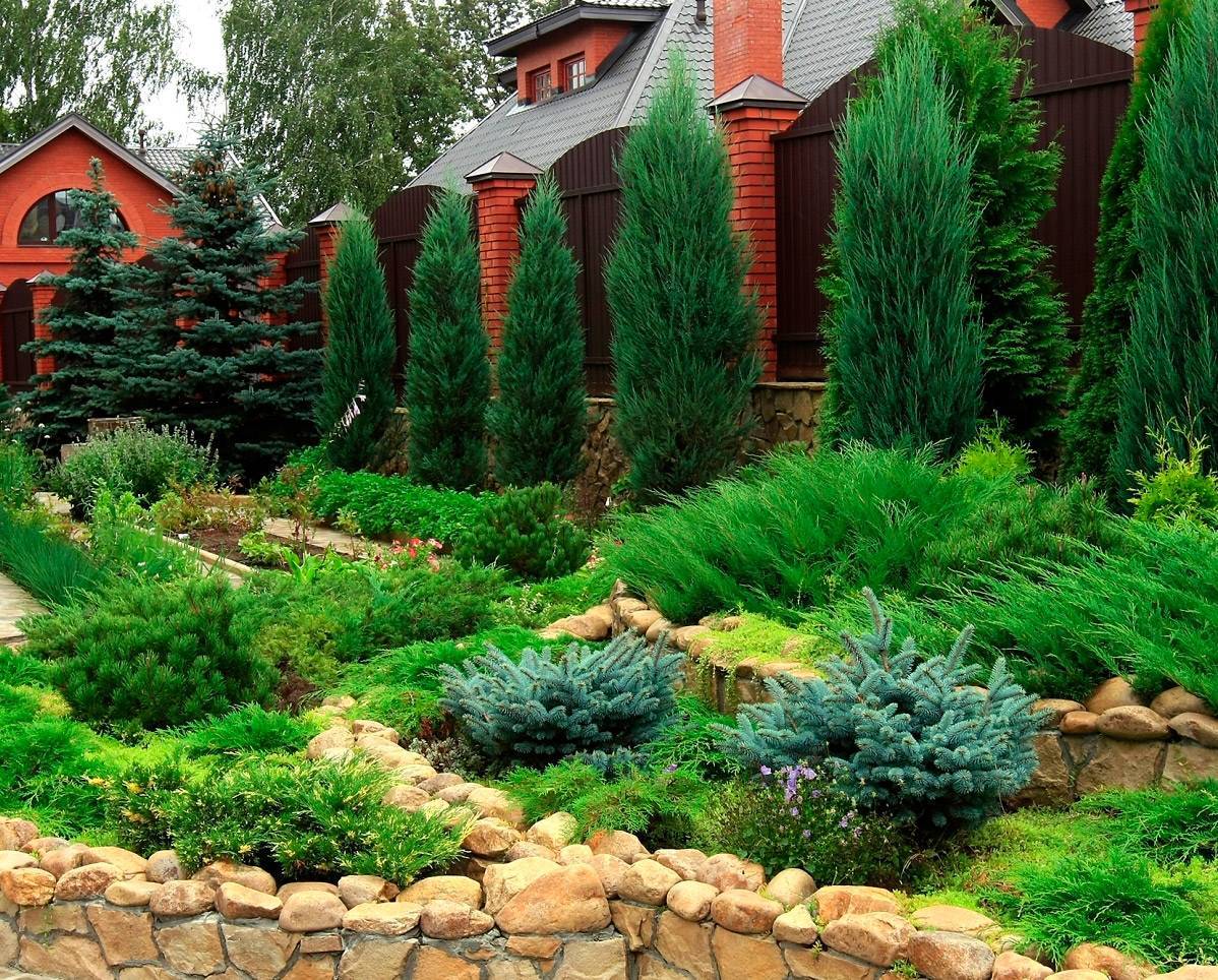 Красивые композиции из хвойников в ландшафтном дизайне сада