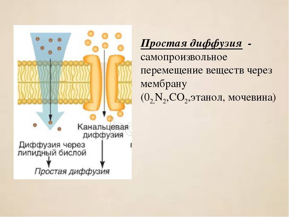 Подкровельная гидроизоляционная мембрана – характеристики, разновидности, нюансы применения