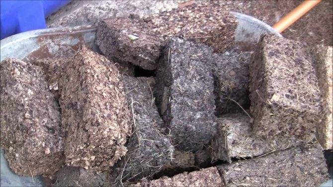 Что такое топливные брикеты: виды и преимущества перед дровами