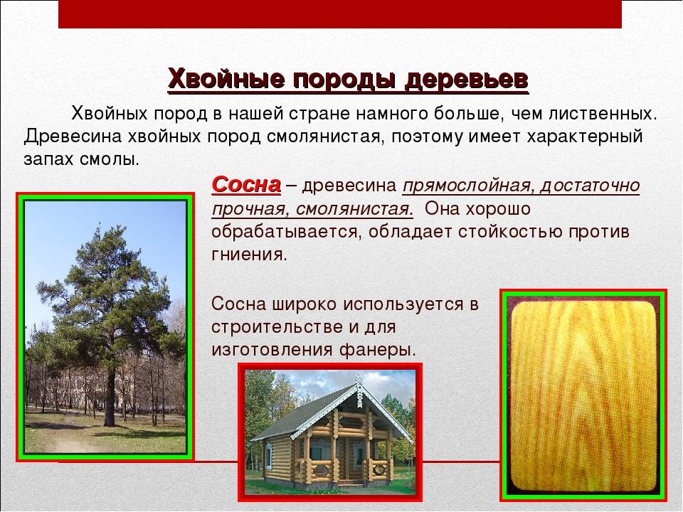 Какой брус лучше для строительства дома в россии: сравнение