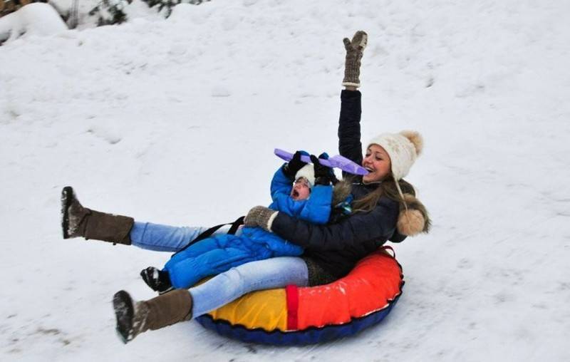 Сани и санки: варианты, конструкция, история, инструменты и технологии изготовления (фотообзор). обновление 2020 года