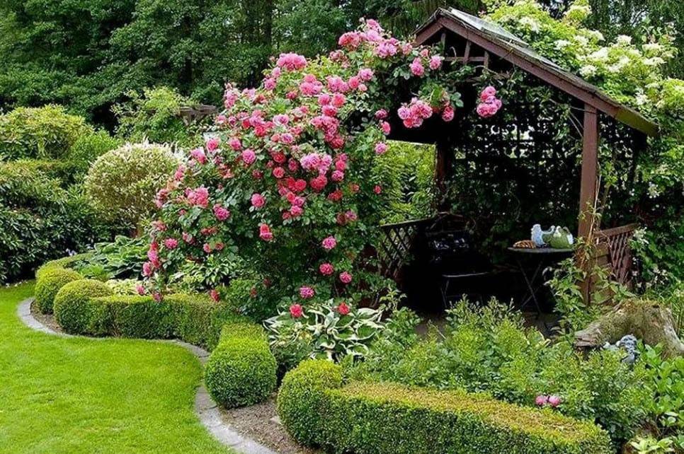 Розы в ландшафтном дизайне сада: фото, оформление дачного участка плетистыми и другими розами