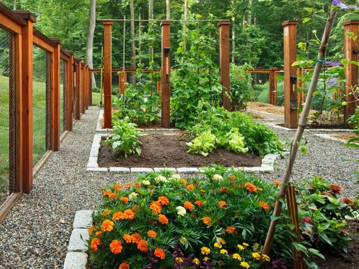 Подборка интересных идей для садов и огородов