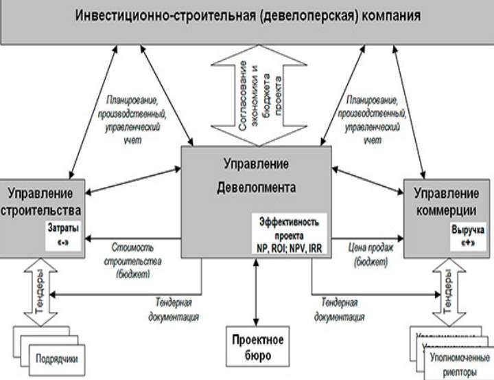 Девелопер и девелопмент – что это