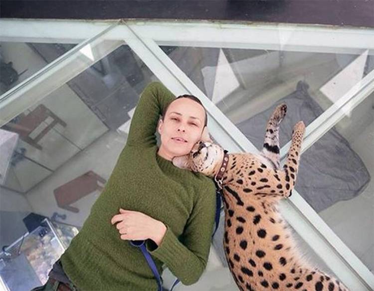 Расположение дома по сторонам света