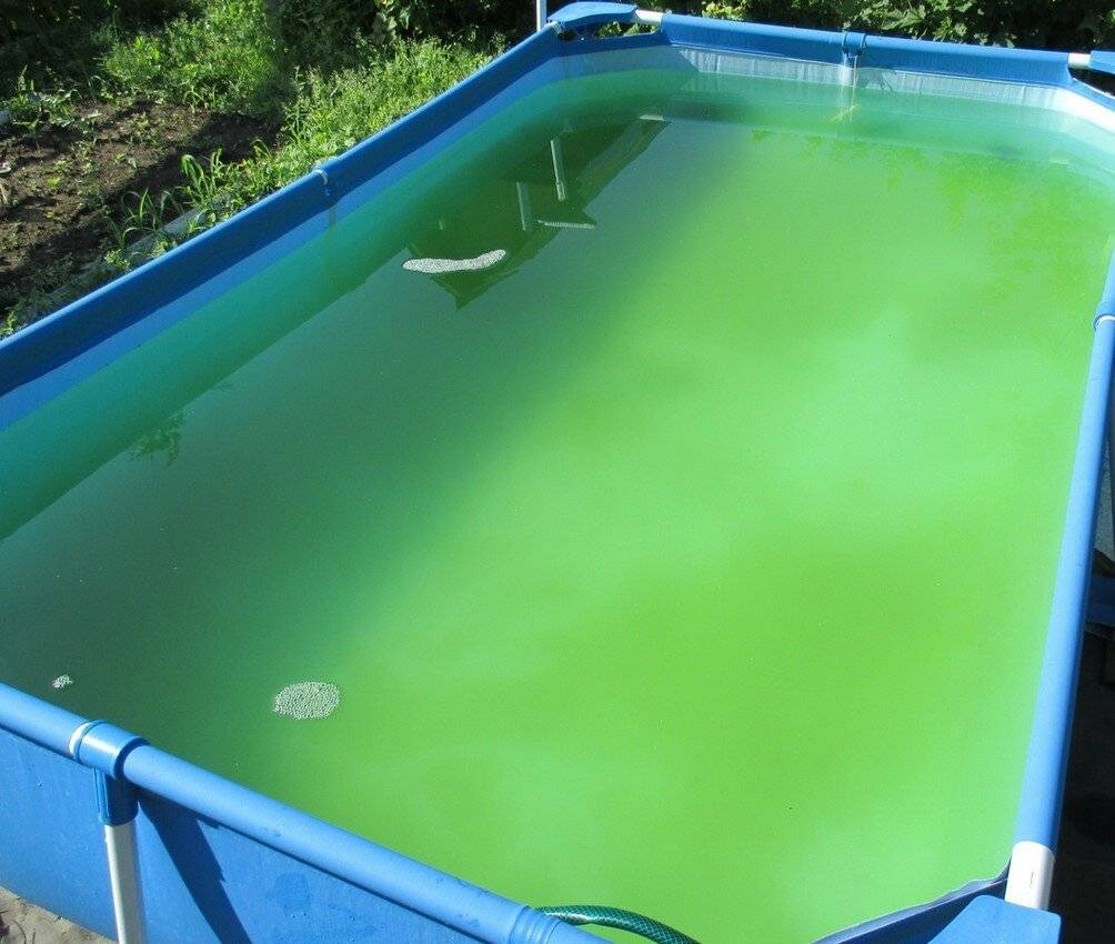 Как добиться кристально чистой воды в бассейне?