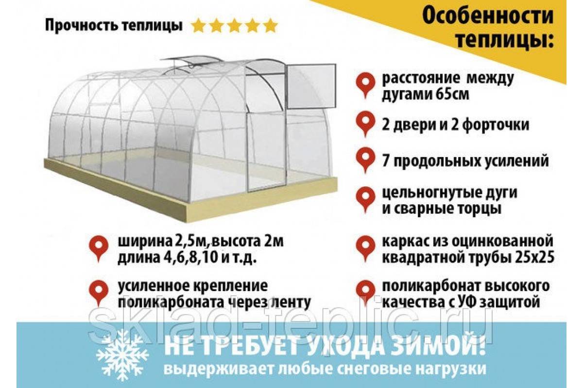 Как выбрать поликарбонат для теплиц: какой лучше, материал, покрытие, толщина, плотность, виды поликарбоната, свойства русский фермер