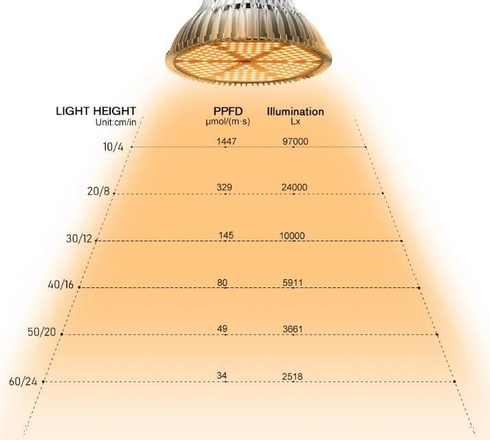 Светодиодные лампы: как выбрать светодиодную лампочку для дома