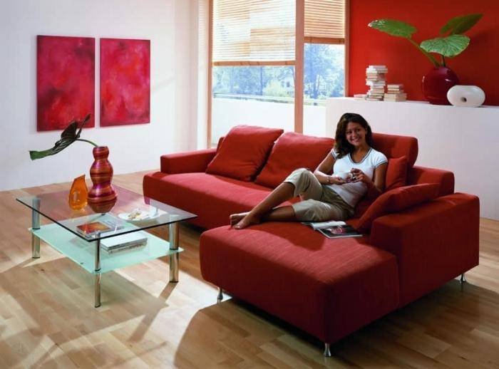 Красный диван в интерьере: 100 потрясающих фото и идей оформления