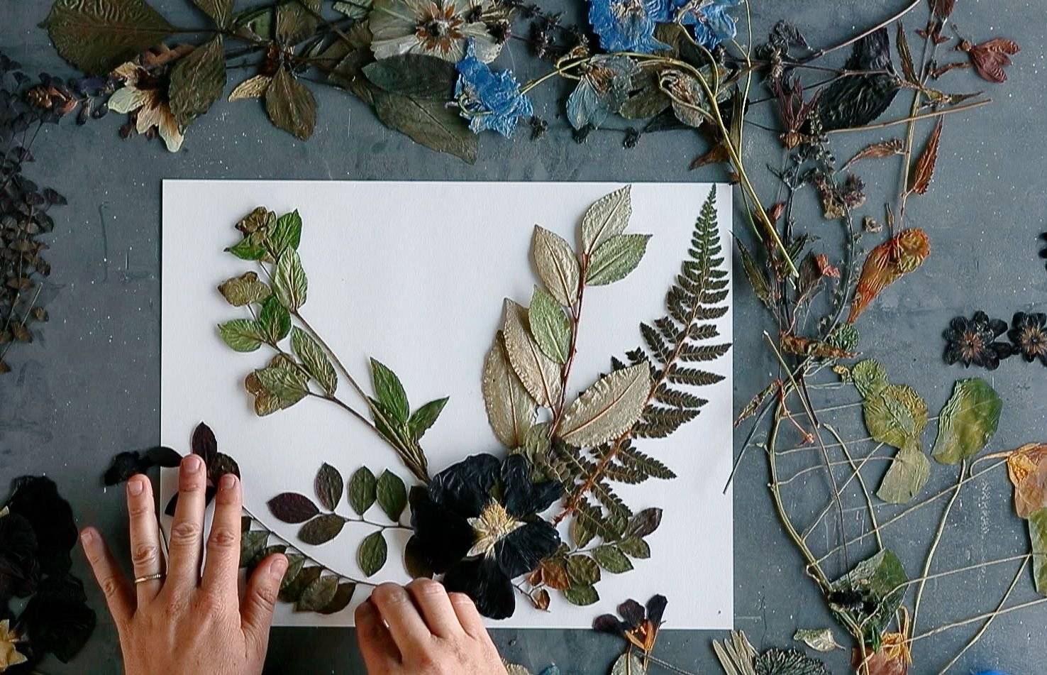 Делаем красивый гербарий своими руками: пошаговые инструкции