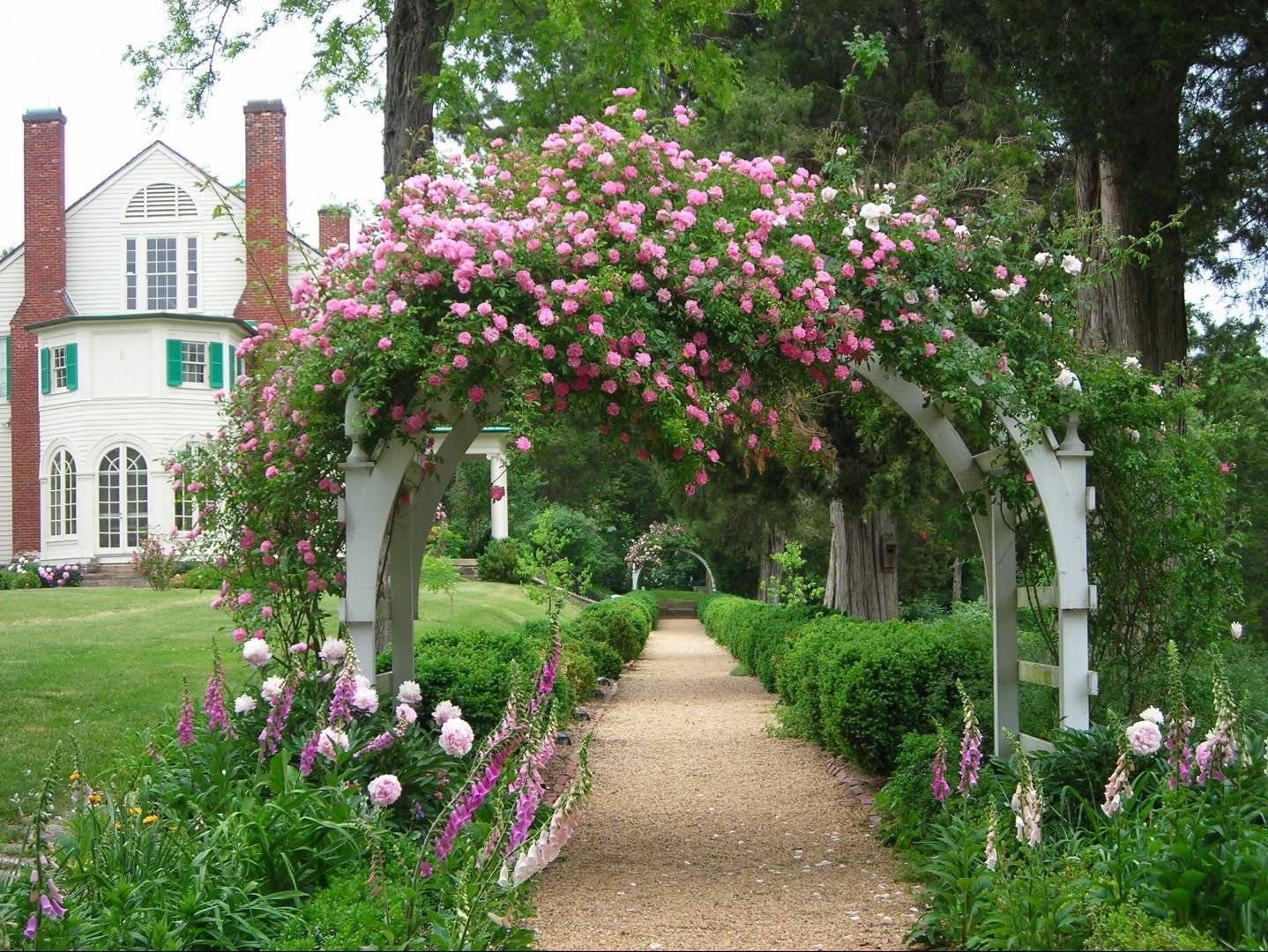 Розы в ландшафтном дизайне сада: фото, оформление дачного участка плетистыми и другими розами