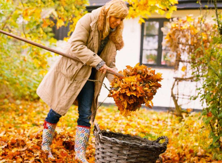 10 способов использовать опавшие листья осенью