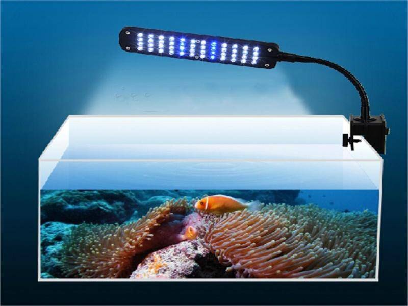 Лампа для аквариума: виды ламп, спектр освещения, как рассчитать