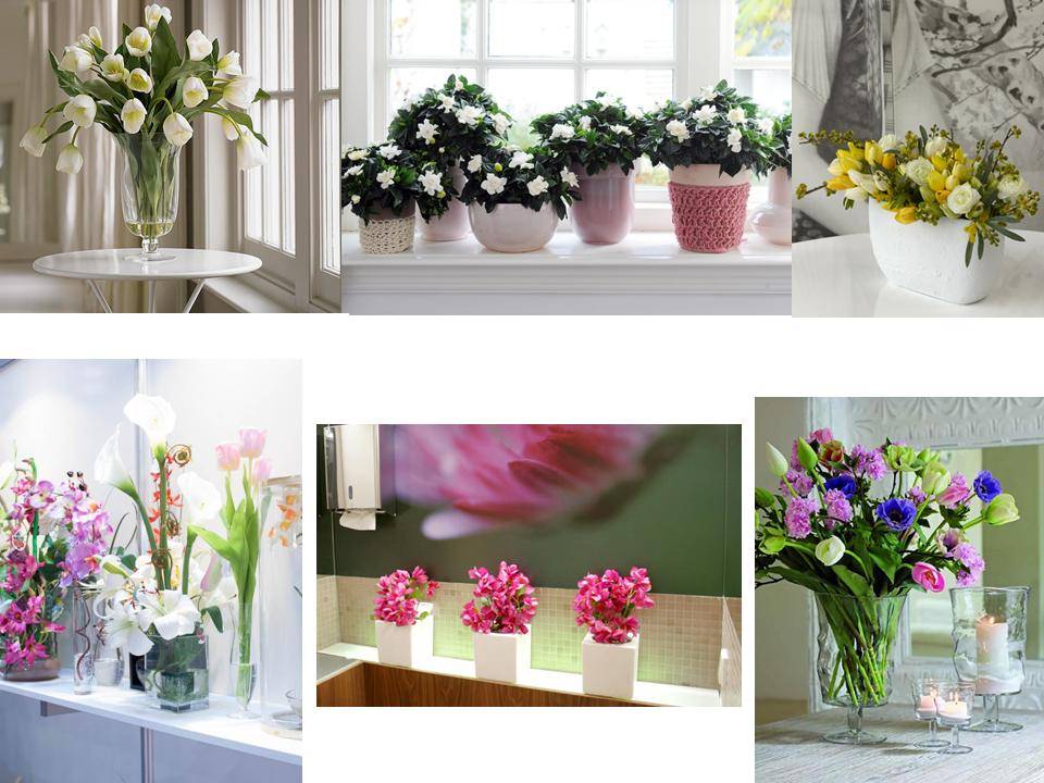 Искусственные цветы — приметы, о которых нужно знать, перед покупкой
