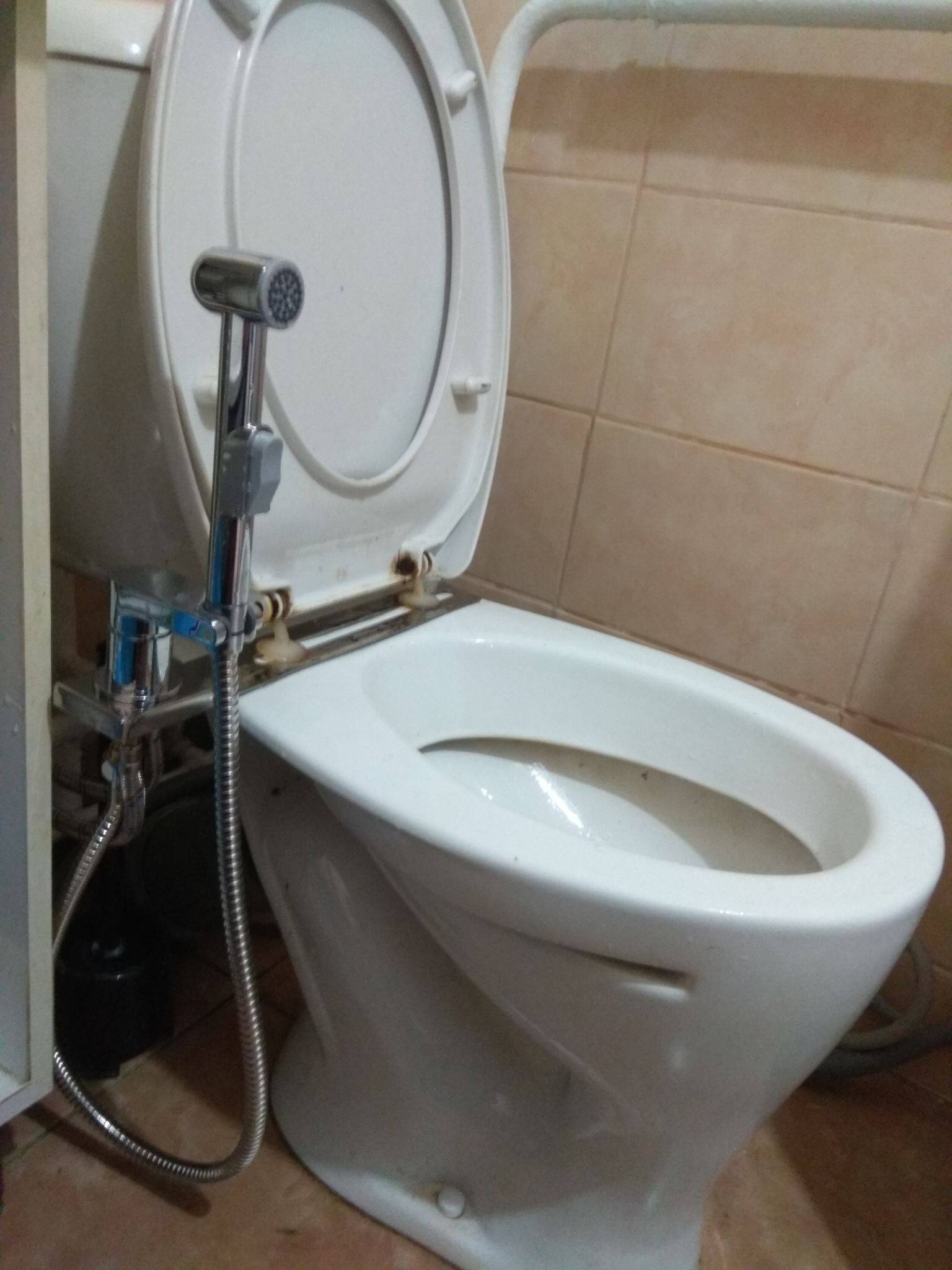 Гигиенический душ для унитаза: выбор, монтаж и правильная эксплуатация