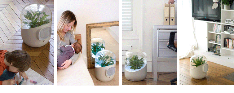 Как уменьшить влажность воздуха в квартире подручными средствами
