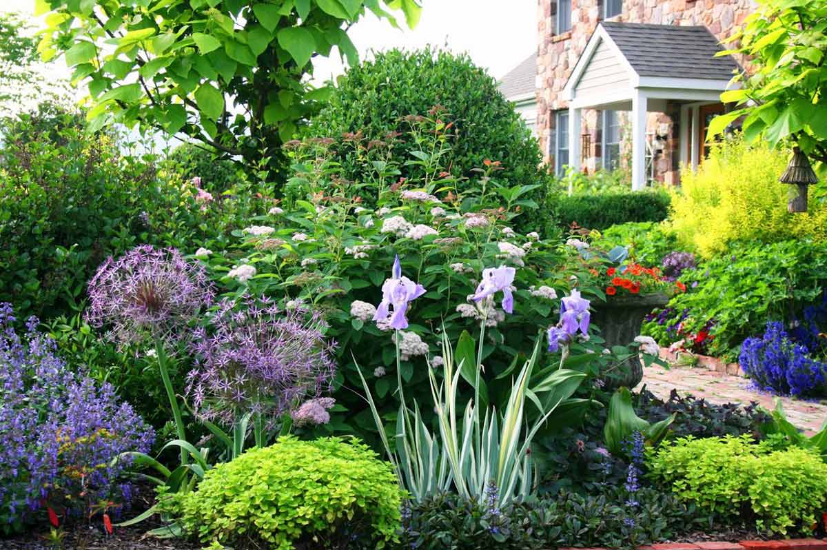 Дизайн огорода и сада придумываем, проектируем и воплощаем в жизнь.фото декоративных огородов.