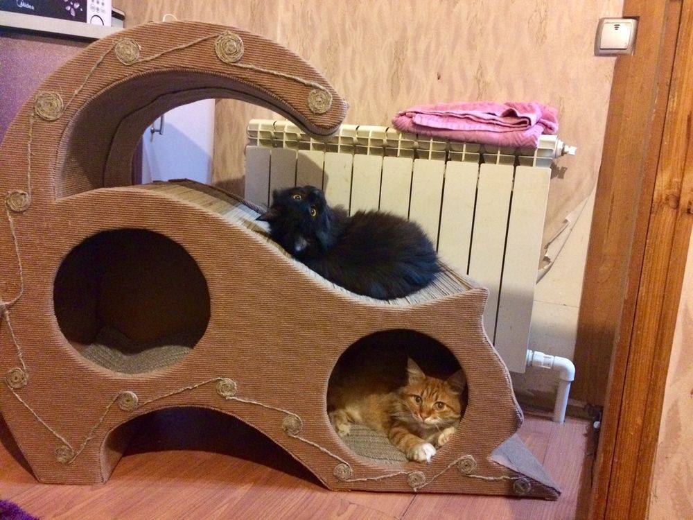 Уличный дом для кошек своими руками: чертежи, фото
уличный дом для кошек своими руками: чертежи, фото
