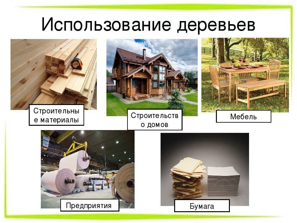 Советы по выбору деревянного дома