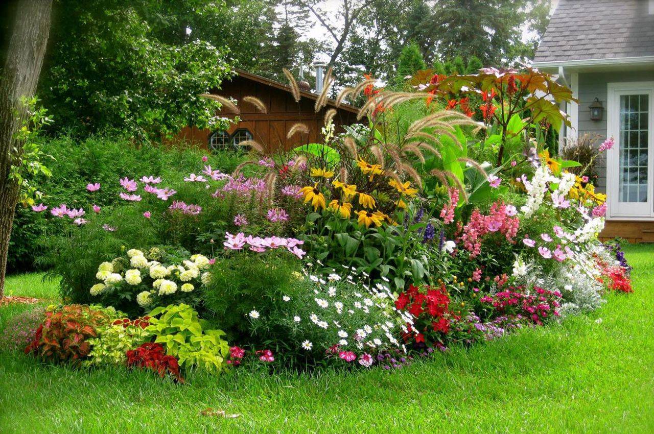 Цветы в саду. правила создания ландшафтных композиций. какие растения выбрать для цветника.