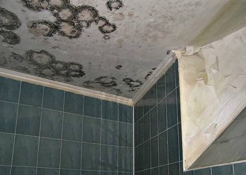 Плесень в ванне на потолке