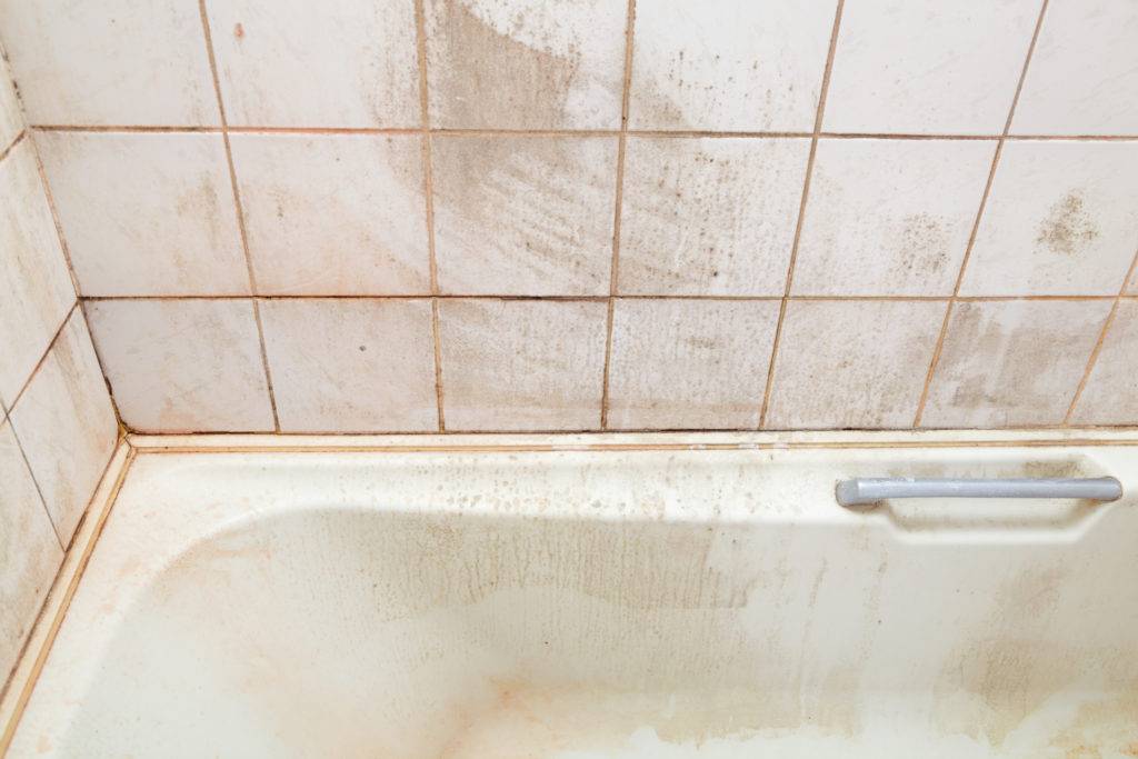 Лучшее средство от известкового налета в ванной: как убрать и отмыть налет в душевой кабине, ванне, на лейке, кафеле, плитке
