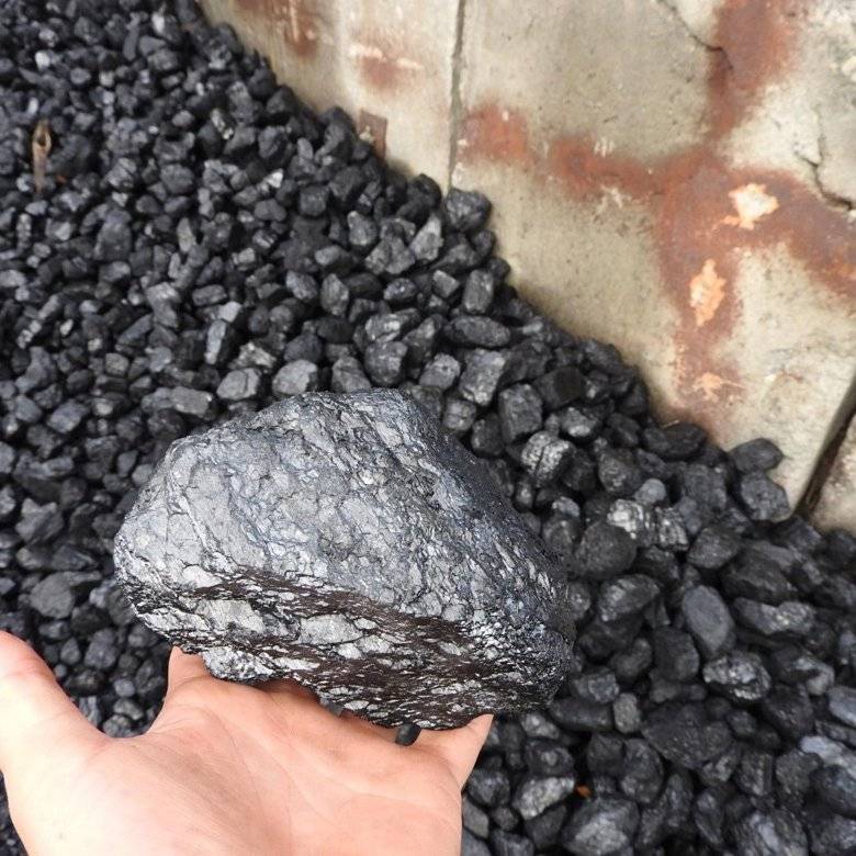 Виды угля и для чего их используют