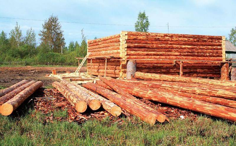 Чем хороша липовая вагонка для бани